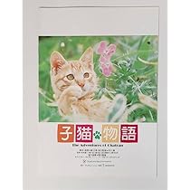 51g-tO+BpWL._AC_UL210_SR210,